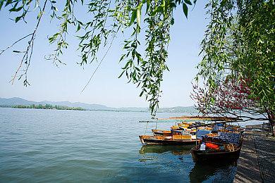 全球首款第三方力反馈手柄发布在即！飞智官宣八爪鱼3发布会时间